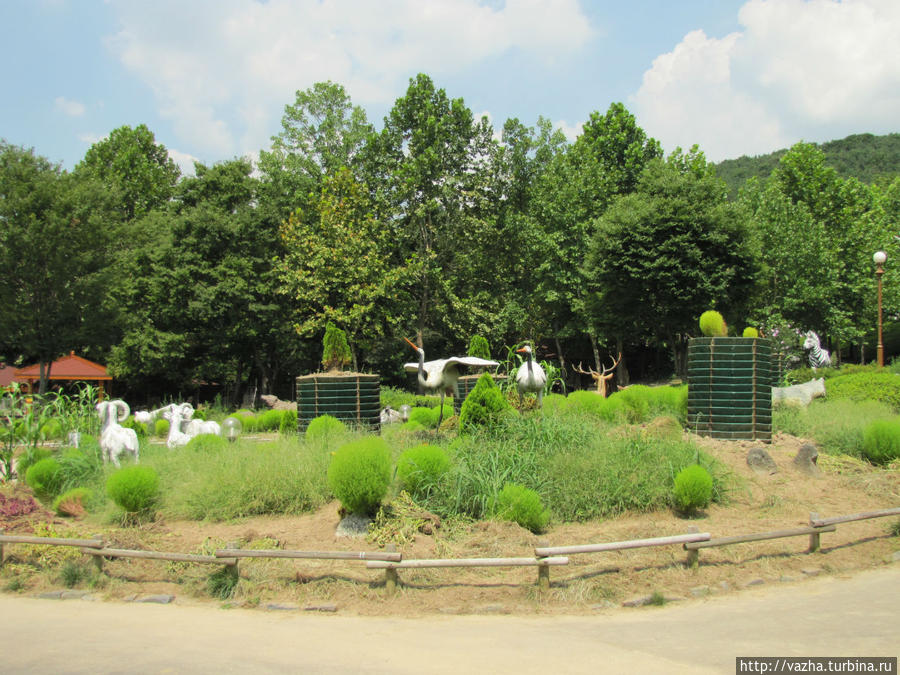 Зоопарк Сеула. Вторая часть. Сеул, Республика Корея
