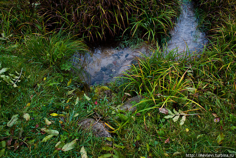 Живая вода Kaļķu avots Сигулда, Латвия