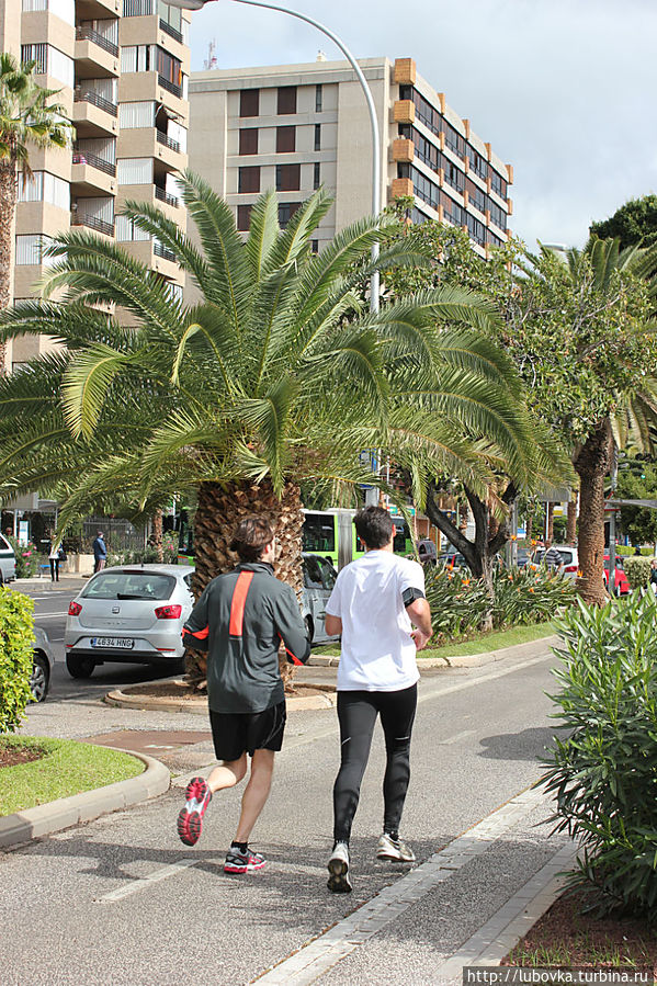 Местное население использует этот маршрут Санта-Крус — Сан Андреас для оздоровительных пробежек и прогулок на велосипедах. Сан-Андрес, остров Тенерифе, Испания