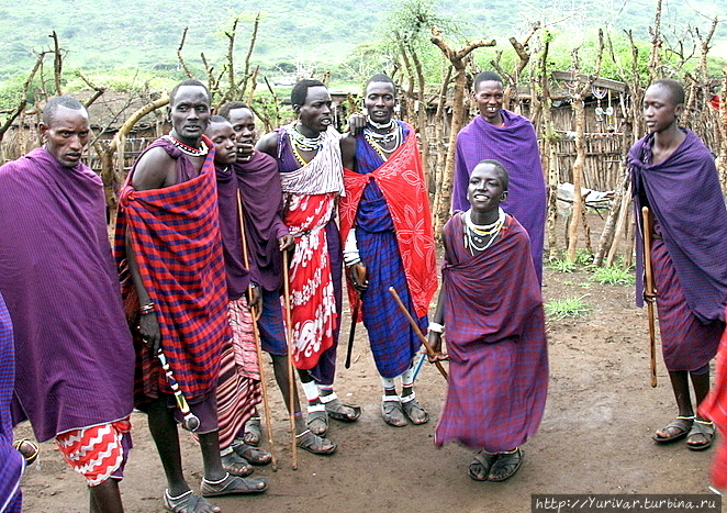 Моя первая Африка. В гостях у племени Масаи Нгоронгоро (заповедник в кратере вулкана), Танзания