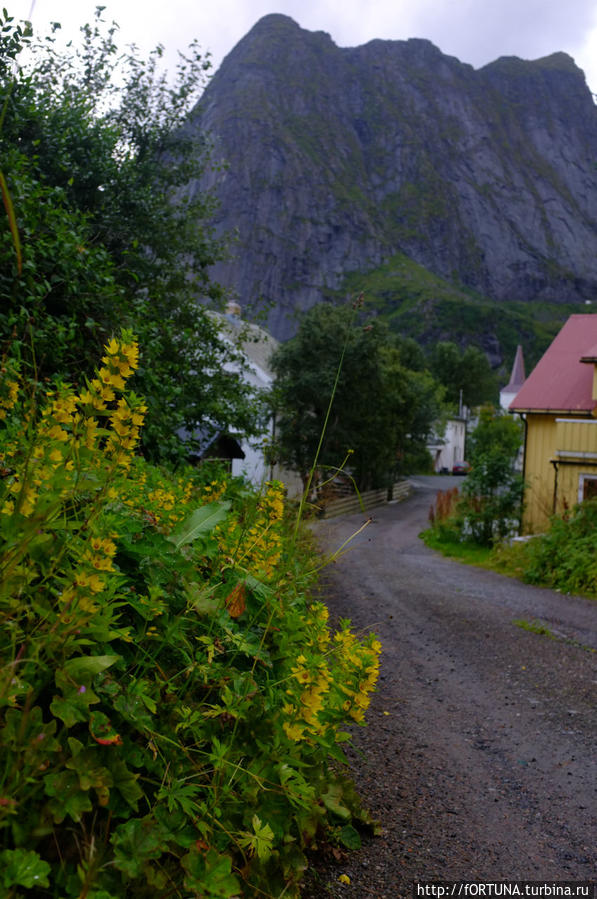 Поселок  с рекламных открыток Лофотен Рейне, Лофотенские острова, Норвегия