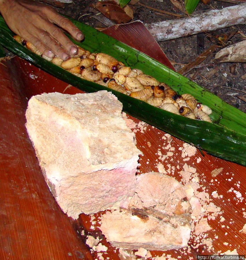 Коровайский деликатес — личинки Sago Worm и саговая мука Джайпура, Индонезия
