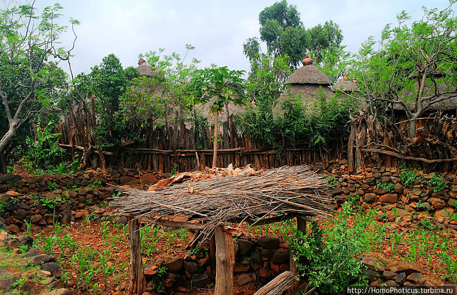 Этнография Эфиопии: деревня консо