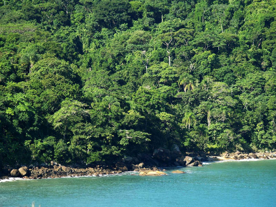 Пляж Ubatuba Бразилия. Убатуба Бразилия. Пляж Кедрак. Убатуба Бразилия фото.