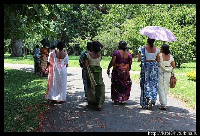 Внеплановое посещение родины чая и улыбок. Канди Канди, Шри-Ланка