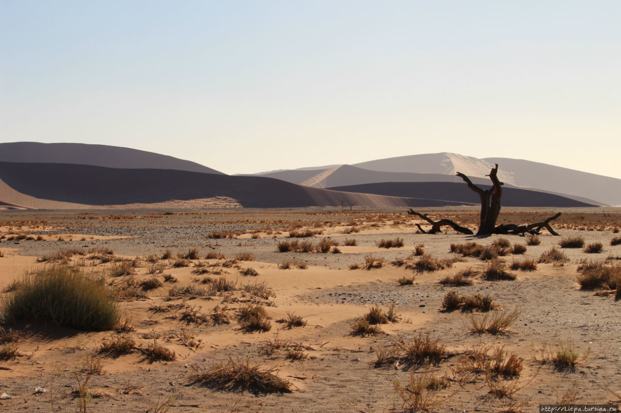 Пейзажи нереальные Солитейр, Намибия