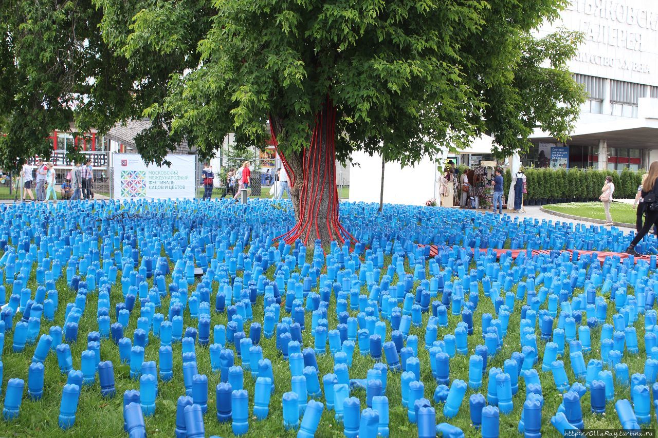 Moscow Flower Show 2017. Фотоотчёт и впечатления. Москва, Россия