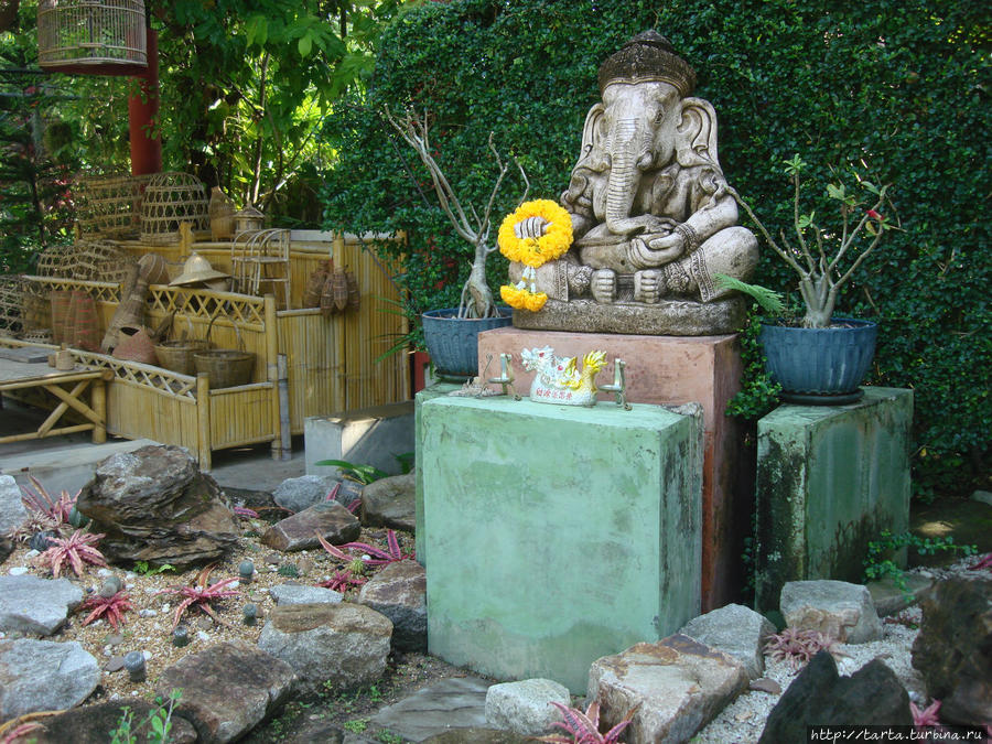 Ботанический сад. Вторая серия Пхукет, Таиланд