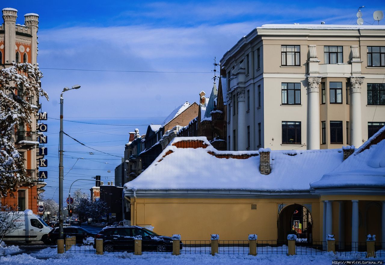 Начало зимы в парке Кронвальда Рига, Латвия