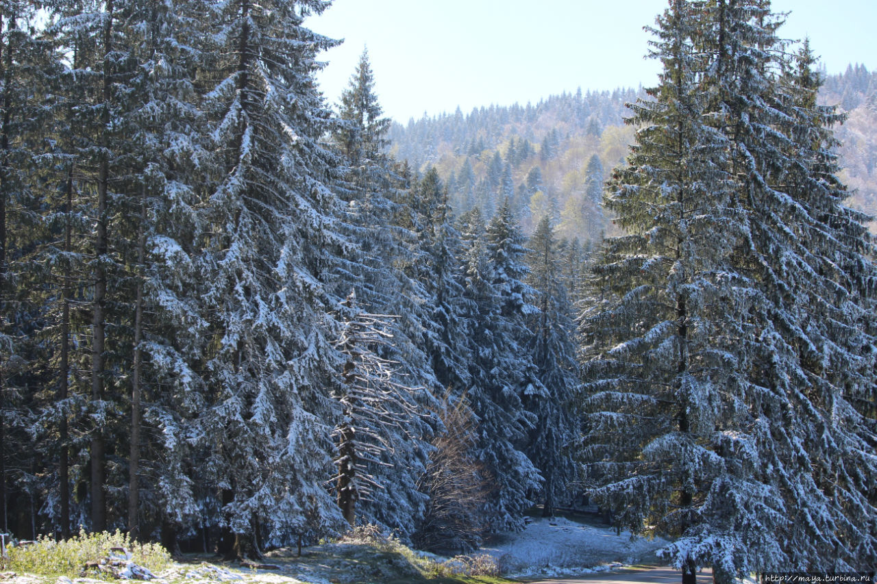 Город за облаками. Предял, Румыния