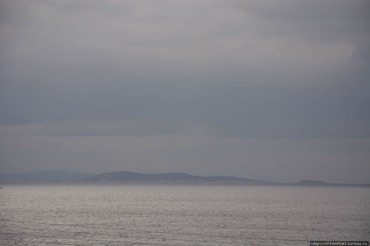 Все оттенки серого