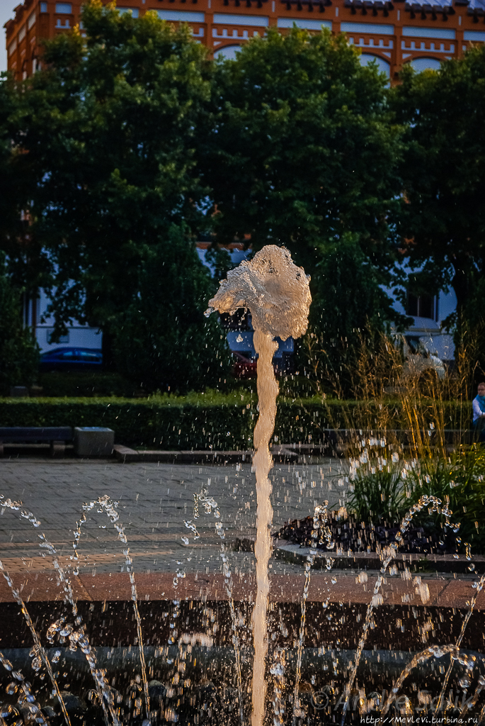 В закатном солнце Рига, Латвия