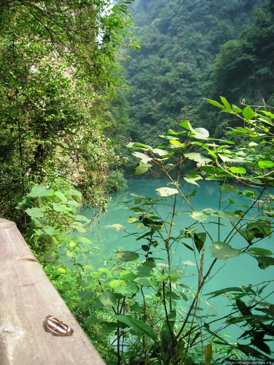 Гранд Каньон Чжанцзязце Чжанцзяцзе Национальный Лесной Парк (Парк Аватар), Китай