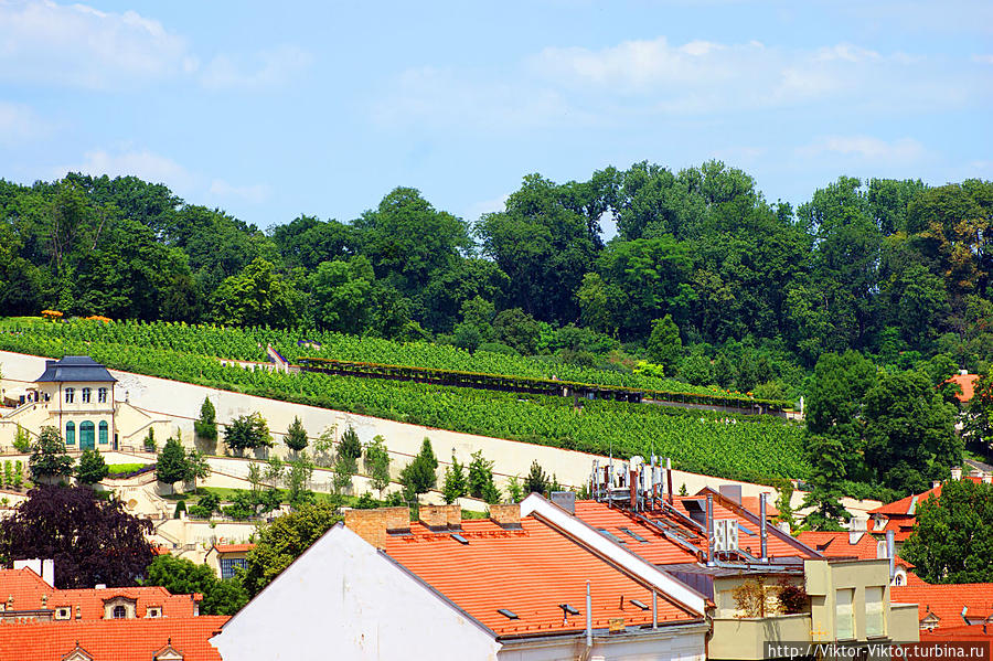 Святой Вацлав Чехия