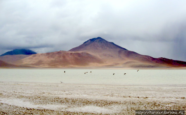 Laguna Blanca (Белая лагуна) Боливия