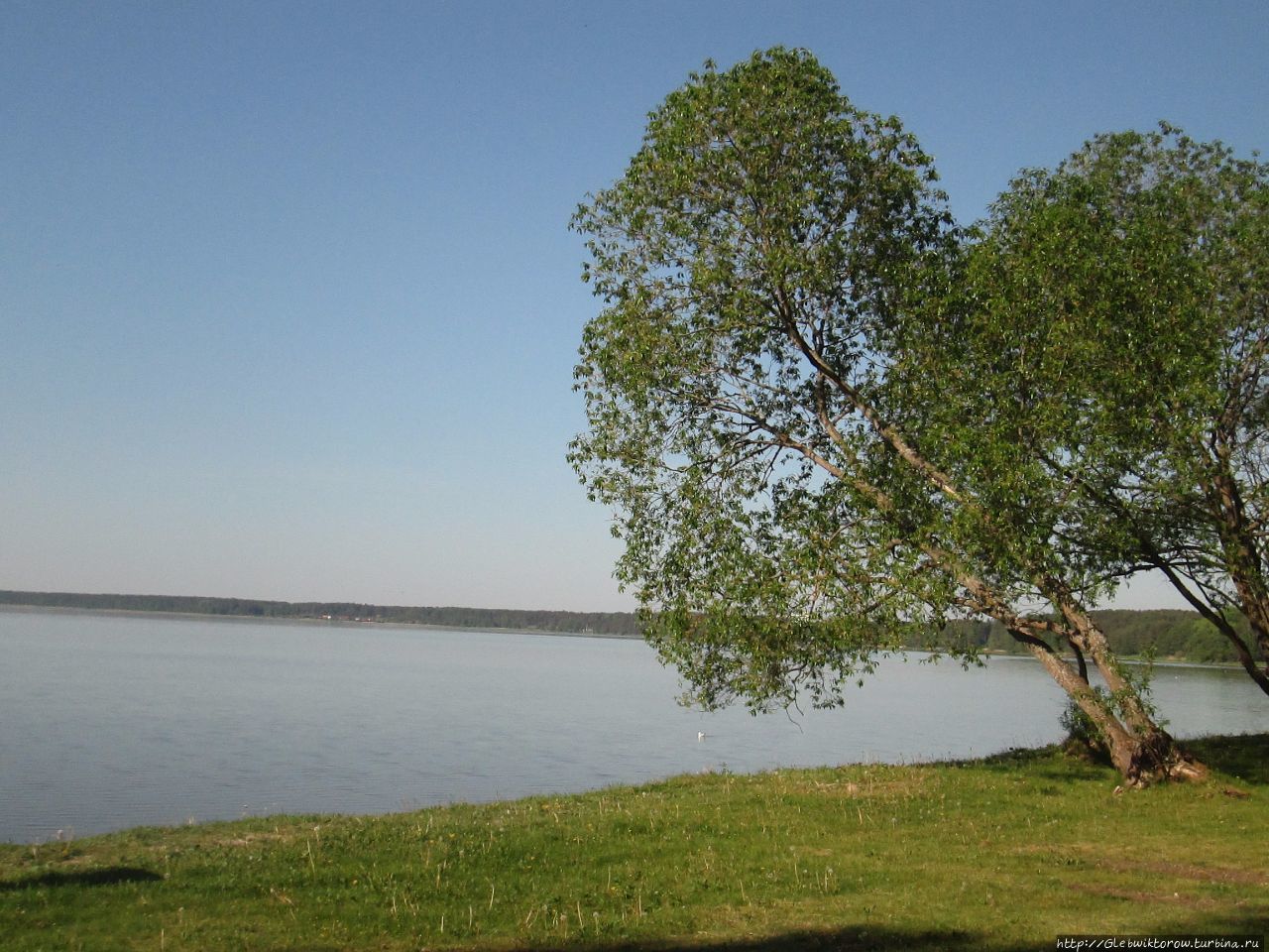 Прогулка по санаторному парку Нарочь, Беларусь