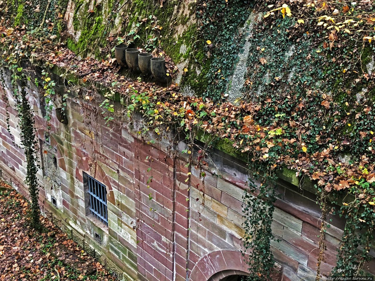 открой форт