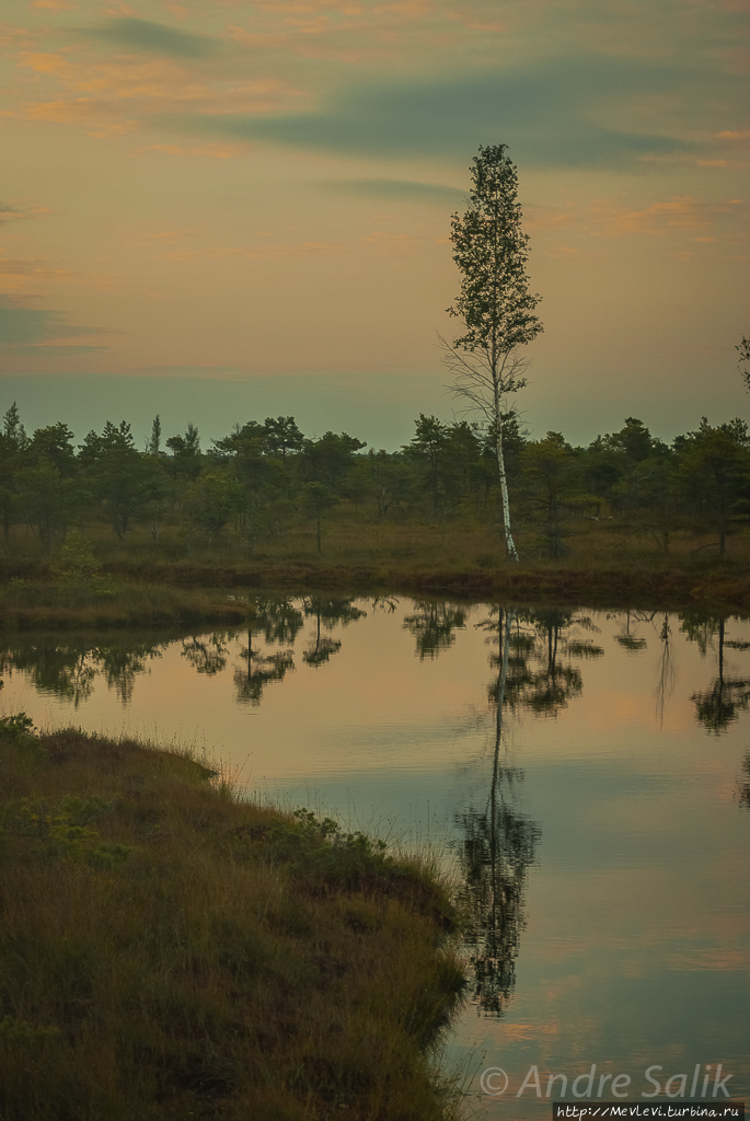 Рассвет . мостки через Кемерское луговое болото Юрмала, Латвия
