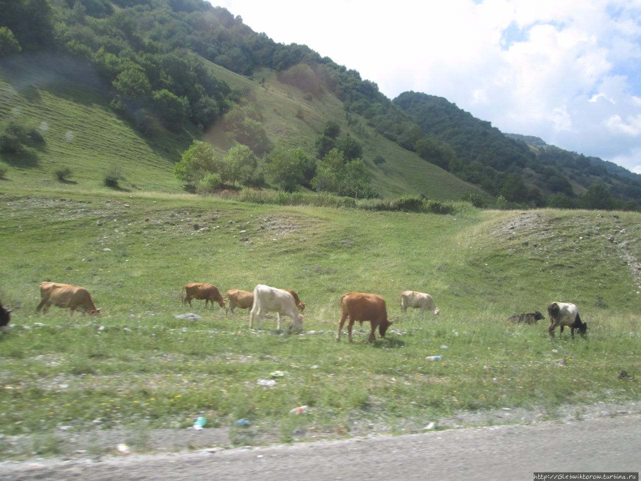 Поездка из Тбилиси в Казбеги Тбилиси, Грузия
