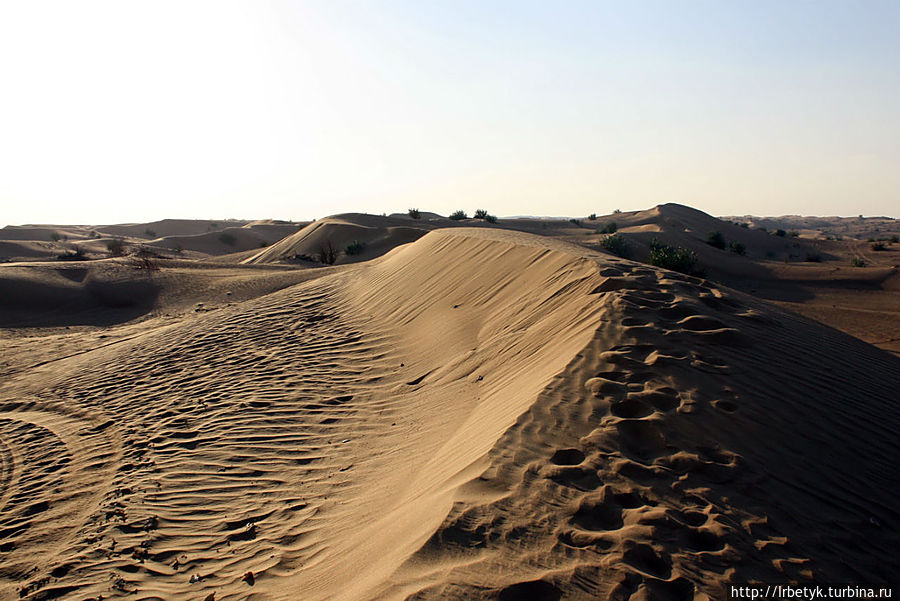 Пляжные радости Арабских Эмиратов и пустынное сафари ОАЭ