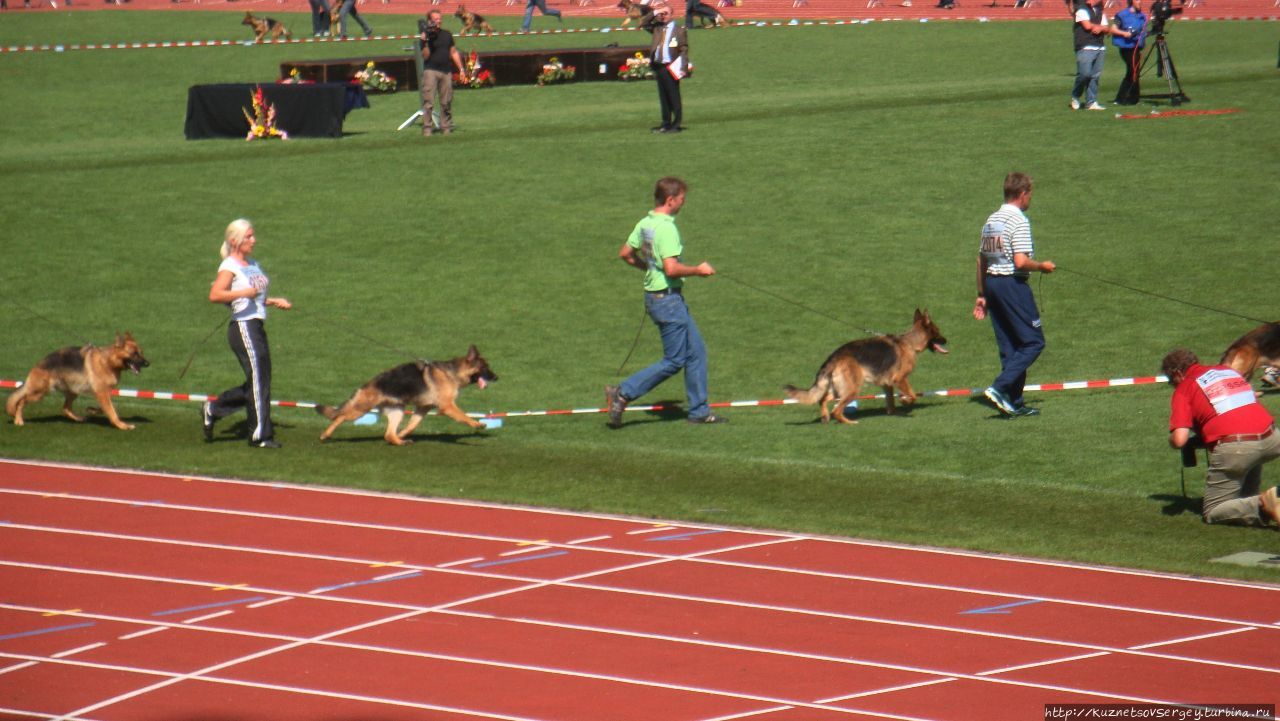 Зигер в Ульме Ульм, Германия