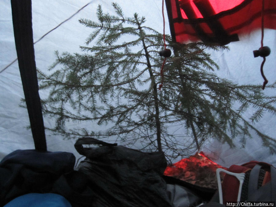 Наша гостья палатки Республика Карелия, Россия