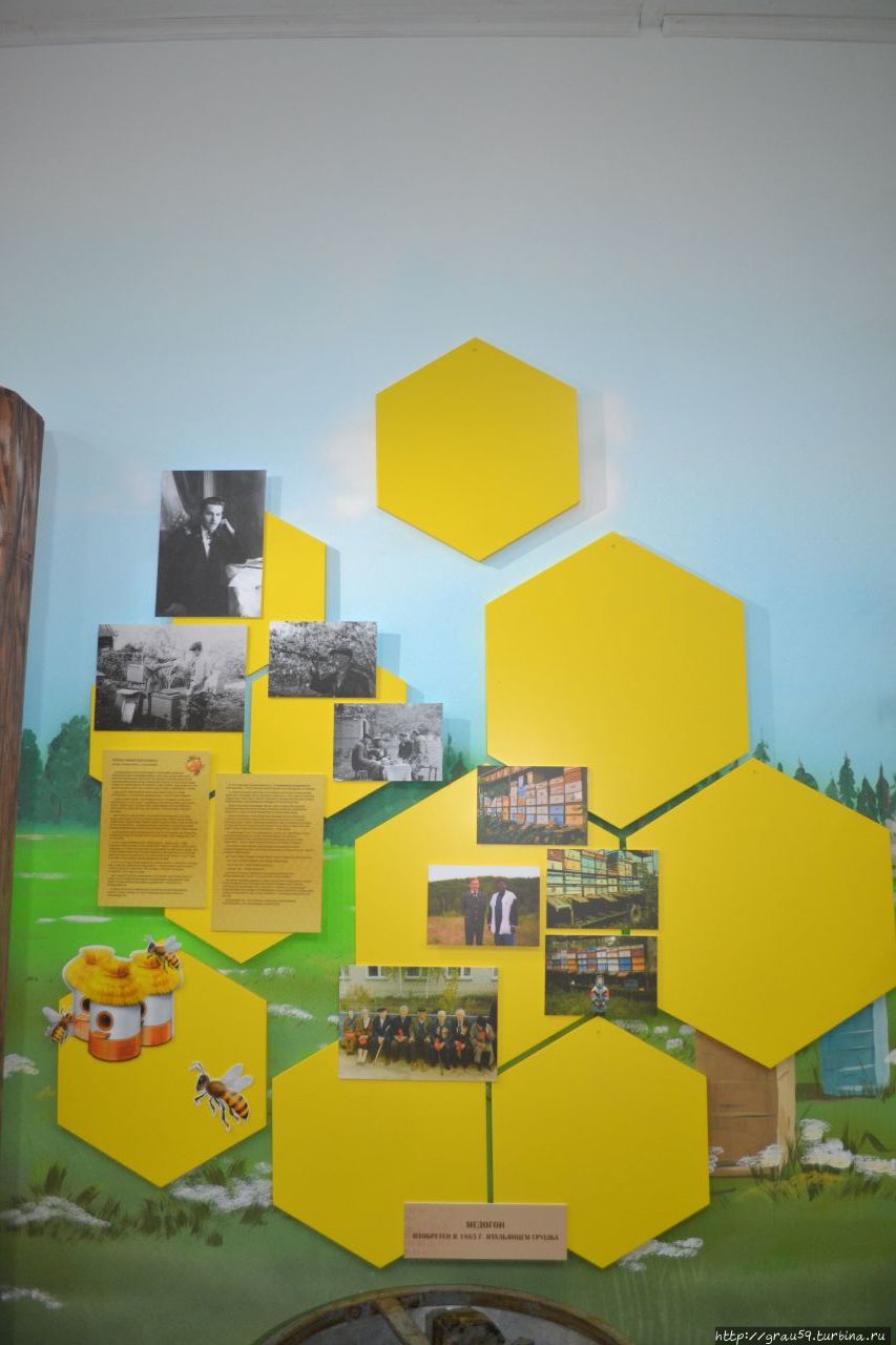 Музей пчелы