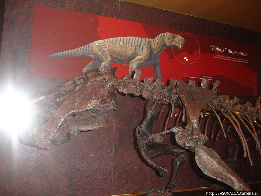 Музей выпускает карманный путеводитель, рекламные брошюры и другие издания.