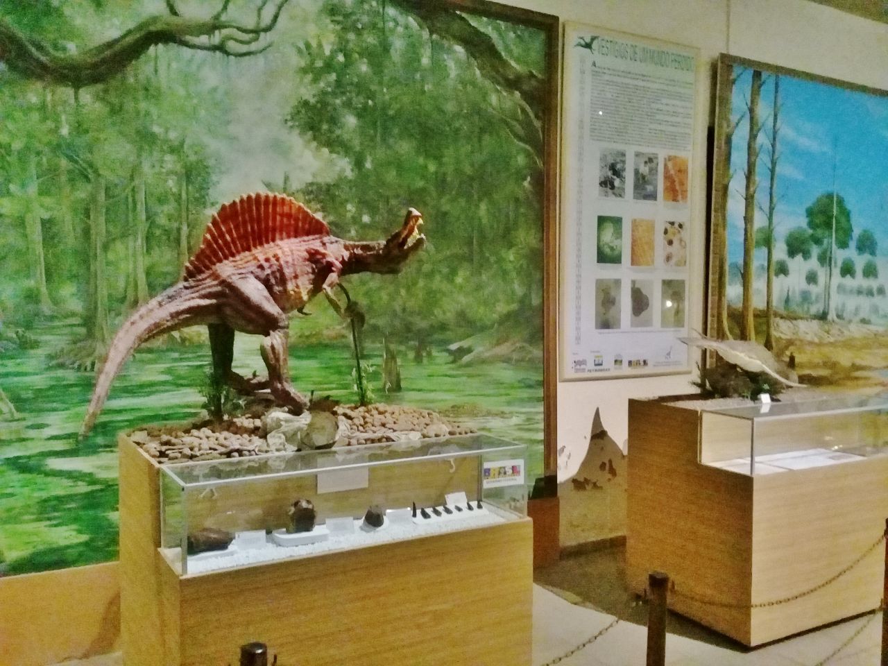 Небольшой музей региональной палеонтологии