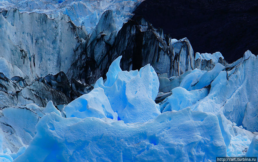 а этот коготок вырос в теле ледника Эль-Калафате, Аргентина
