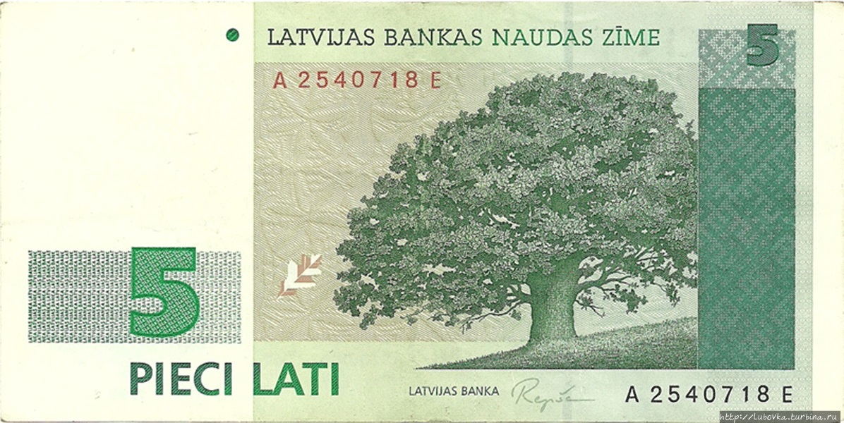 Национальное дерево Латвии Латвия