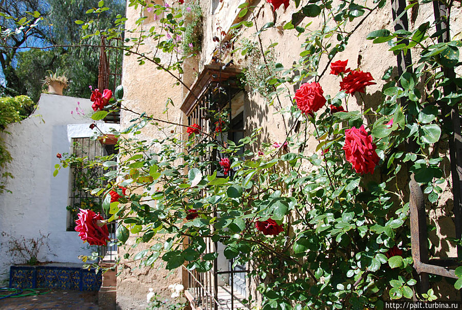 В саду много роз Ронда, Испания