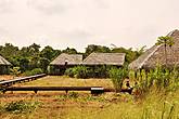 Бунгало Vil Uyana часто называют эко-лоджами над рисовыми полями: здесь и вправду круглый год выращивают рис, снимая 3 урожая в год.
Если ваш визит придется на время жатвы, можно попробовать себя в роли жнеца или вязальщика снопов.