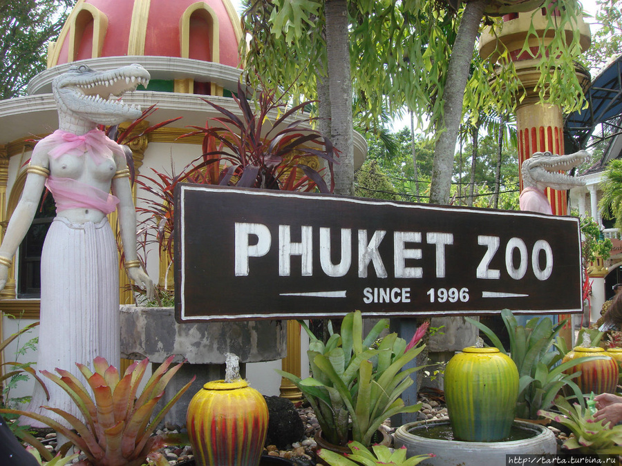 Свежий взгляд на зоопарк, или чем он запомнился особо Пхукет, Таиланд