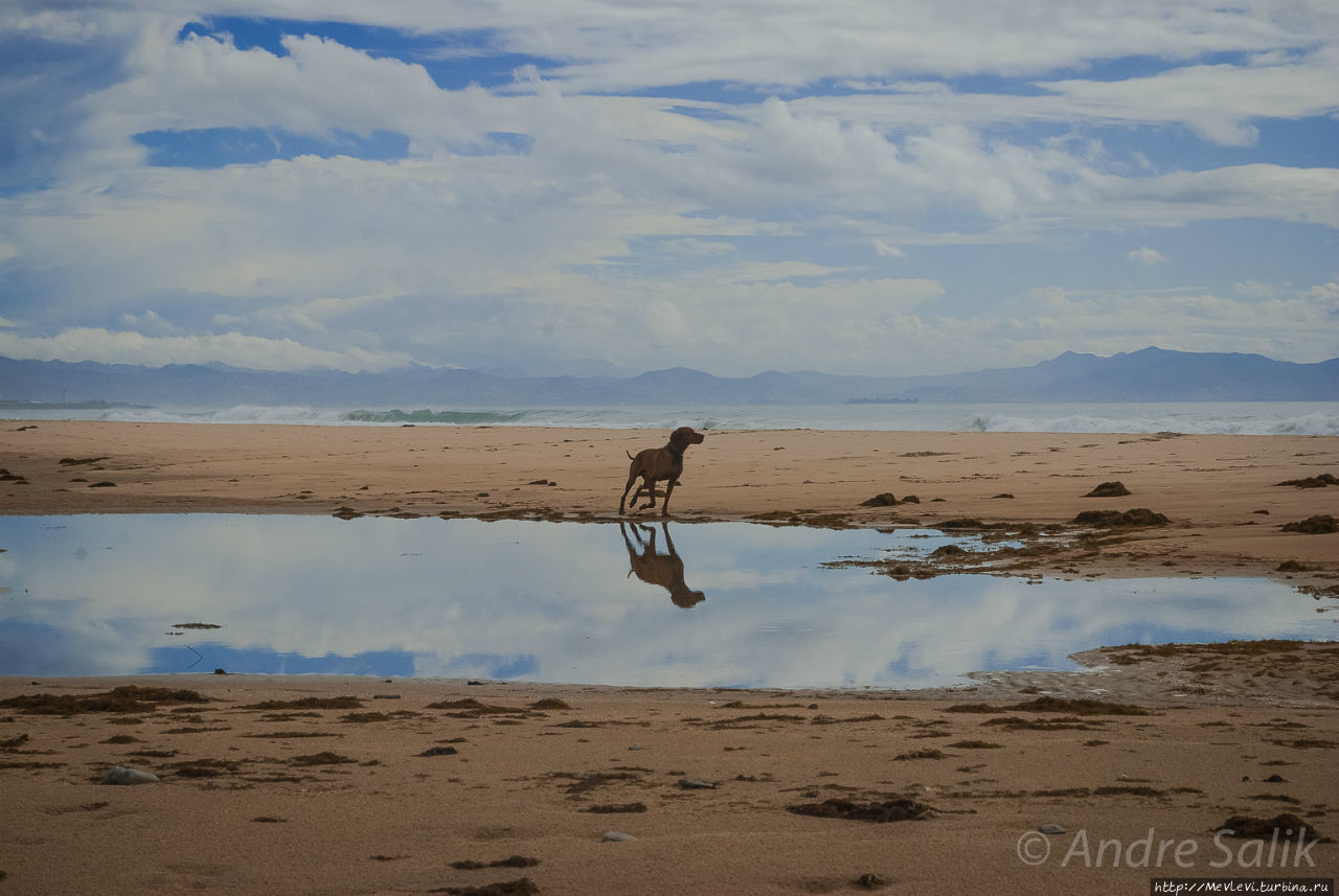 На море океяне Тарифа, Испания