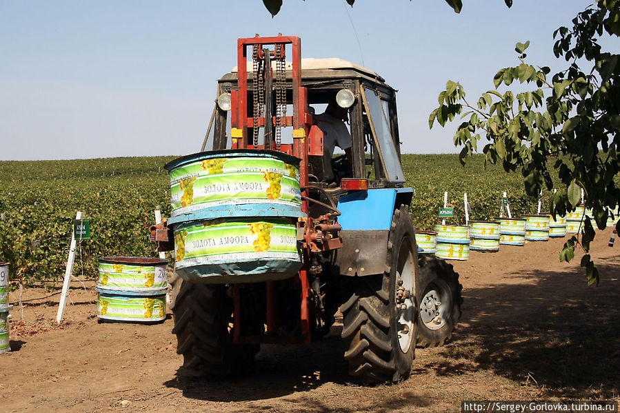 Золотая Амфора 2012 Песчаное, Россия