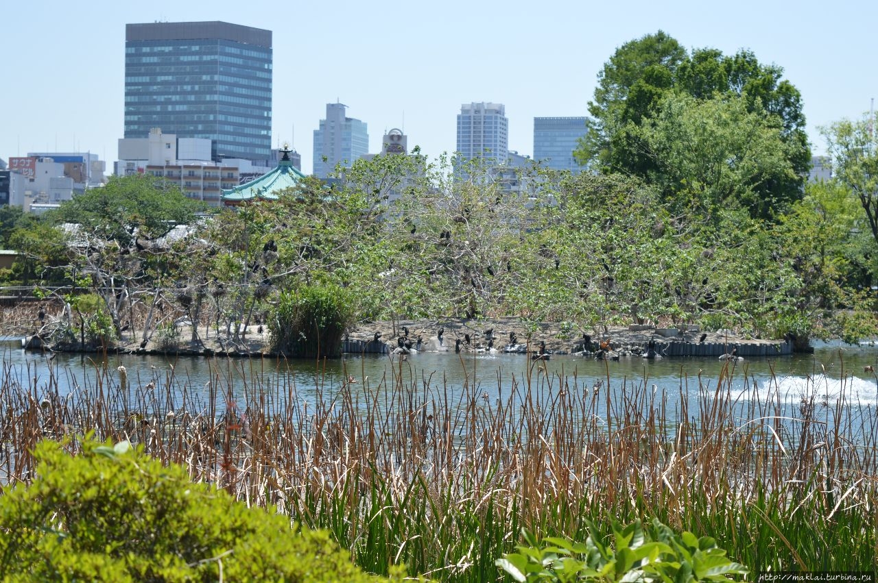 Уэно Онши Парк Токио, Япония