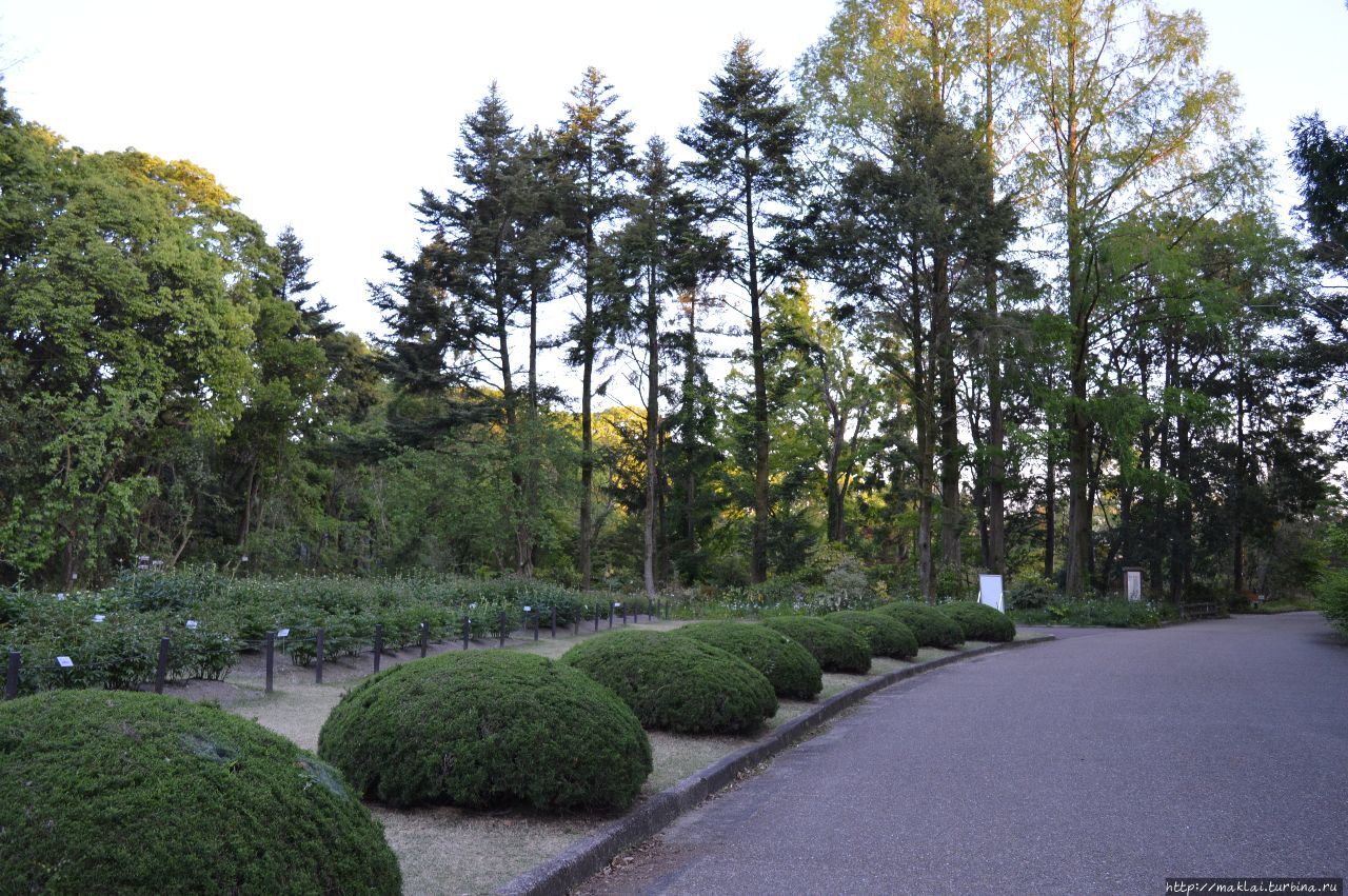 Ботанический сад Киото Киото, Япония