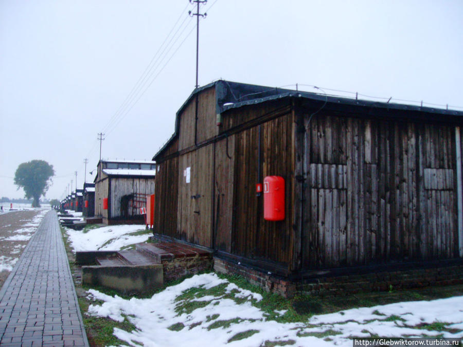 Посещение концлагеря Майданек Люблин, Польша