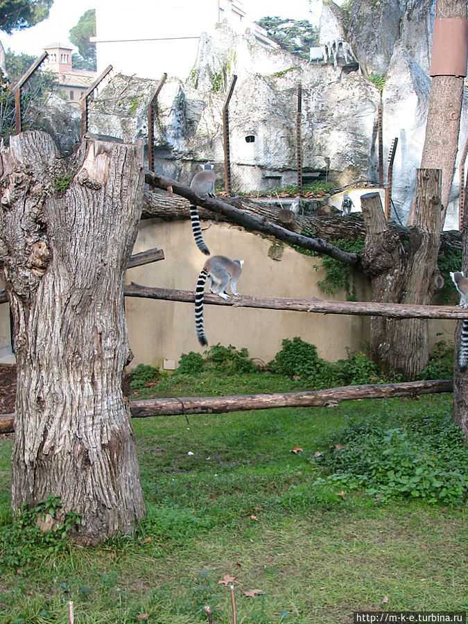 Дождливый биопарк Рима Рим, Италия