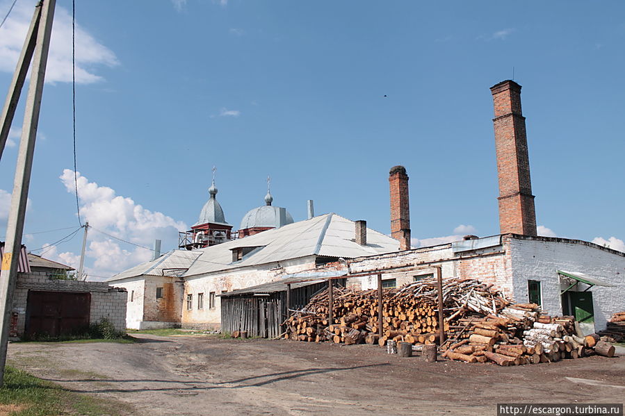Видимо, чтобы очиститься не только духовно, но и физически..