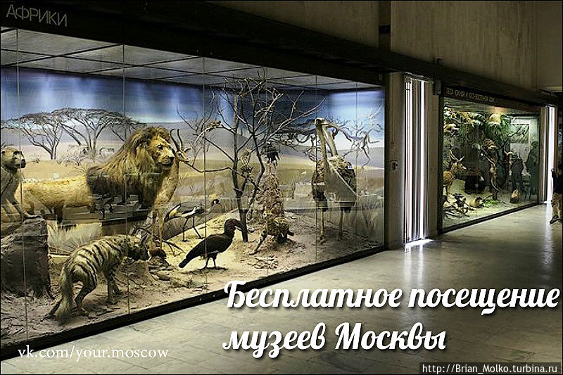 Дни бесплатного посещения музеев Москва, Россия