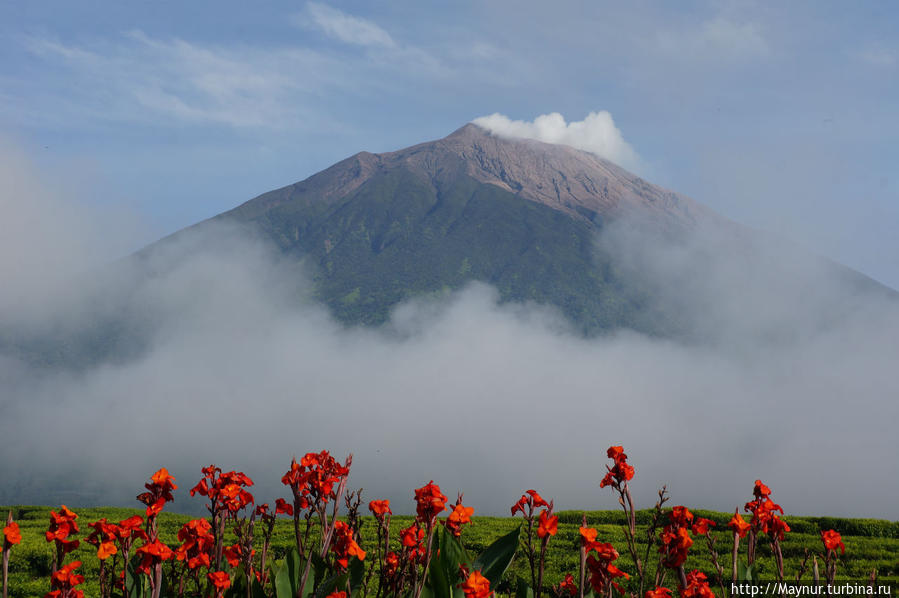 Вулкан   Керинчи. Букиттинги, Индонезия