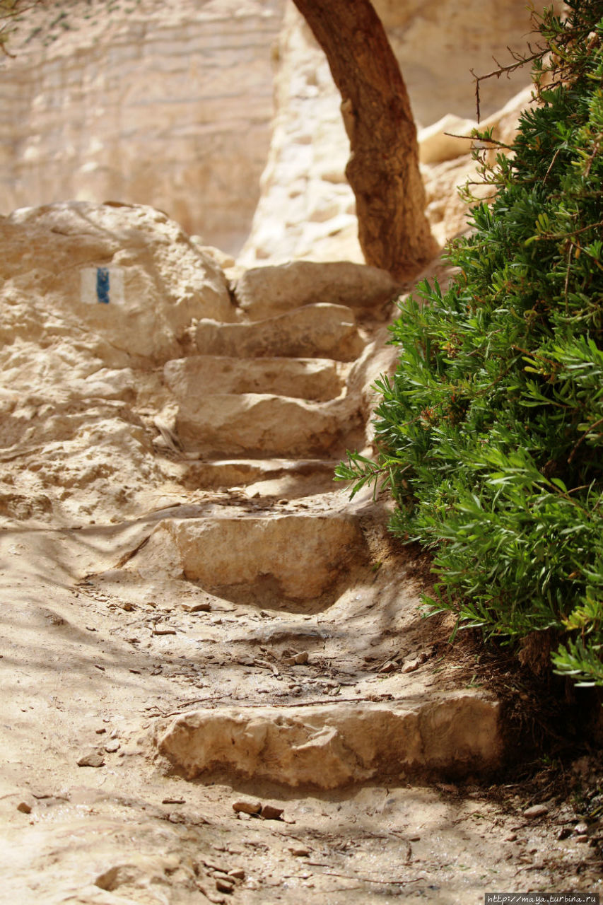 Весной по Негеву: Эйн Авдат Эйн-Авдат Каньон, Израиль