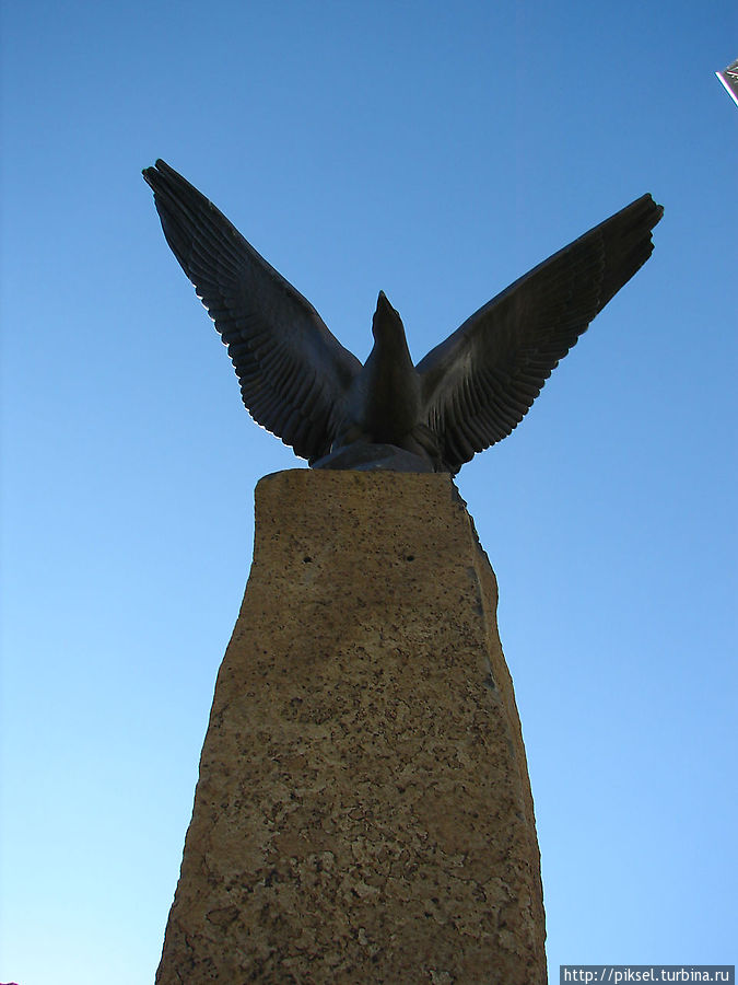 Оболонский орел Киев, Украина