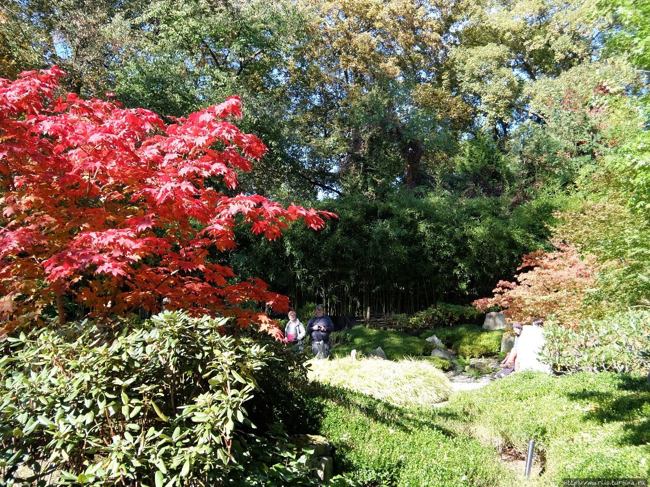 Японский сад в Кайзерслаутерне Кайзерслаутерн, Германия