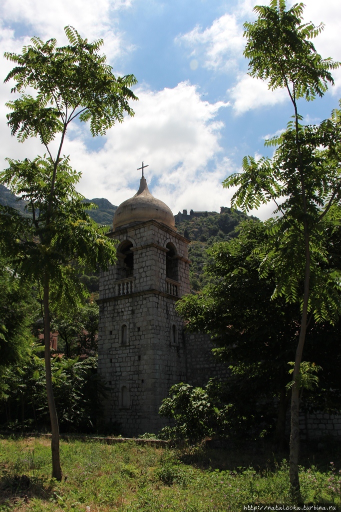 Котор — черногорское сокровище. Котор, Черногория