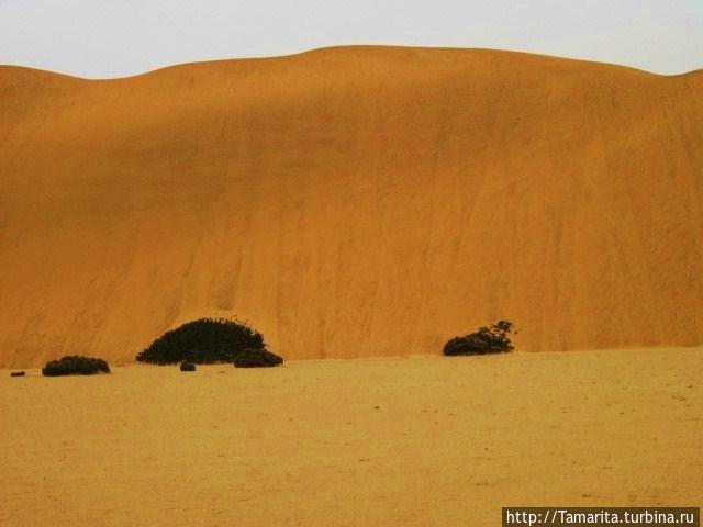 Пески и дюны Намиба Свакопмунд, Намибия