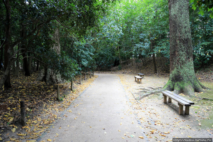 Пейзажный сад Коракуэн Окаяма, Япония