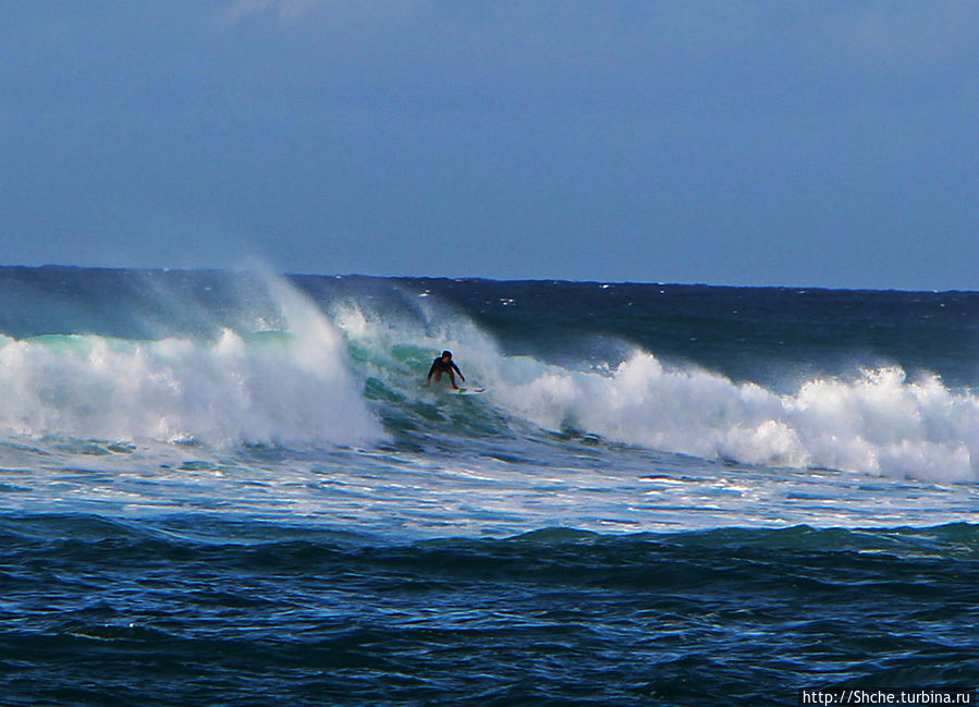 Приглядевшись повнимательнее мы увидали, что смелый серфер — молодая хрупкая девушка Папукеа, остров Оаху, CША